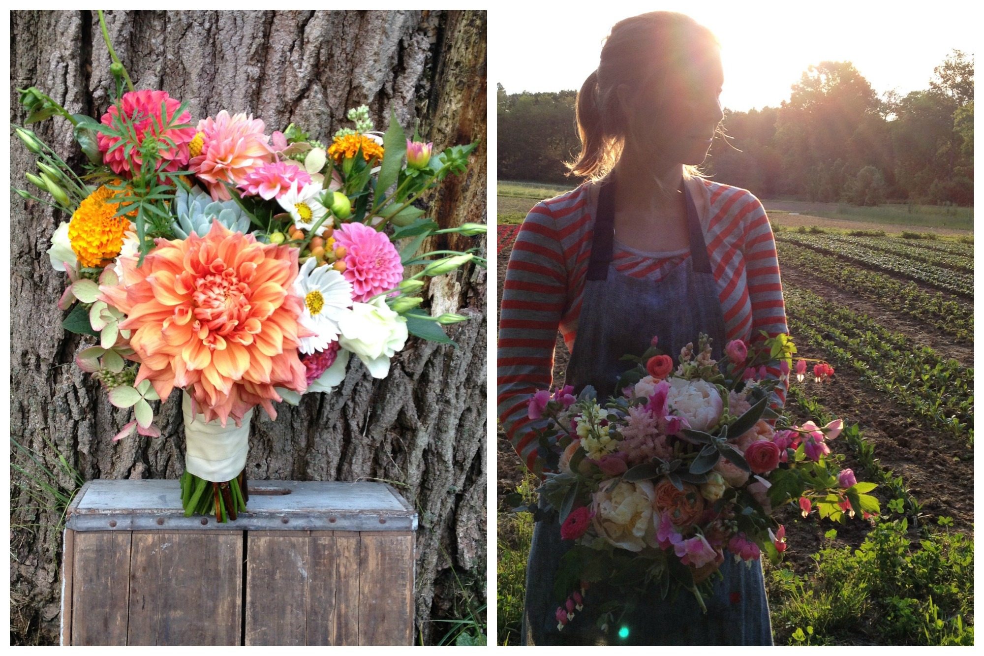 The Farmer and the Florist Interview: Sunny Meadows Flower Farm