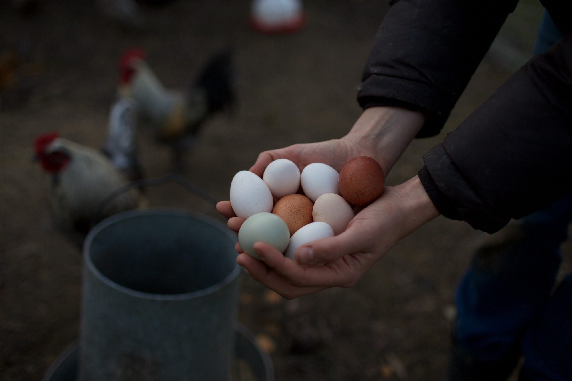 The Mini Floret Flowers