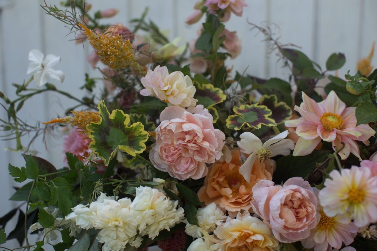 IMG_2169 Floret Flowers