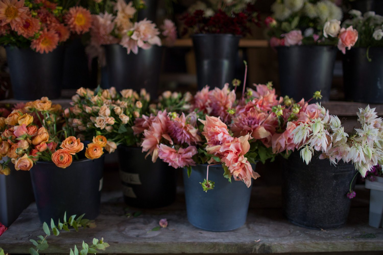 A Visit to World's End Farm Floret Flowers