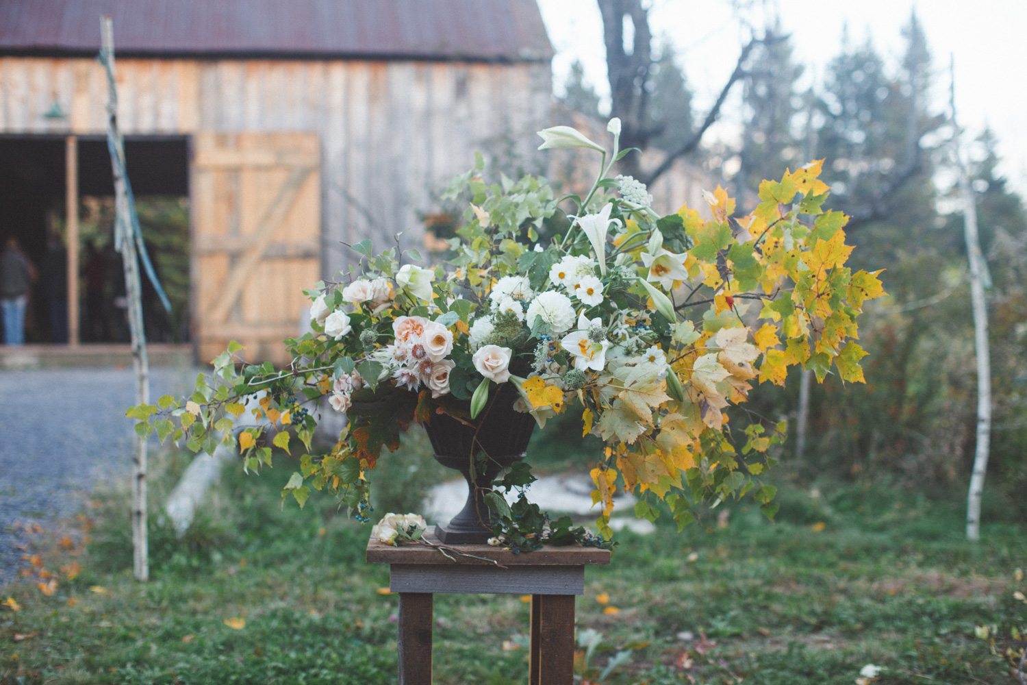 A Visit to World's End Farm Floret Flowers