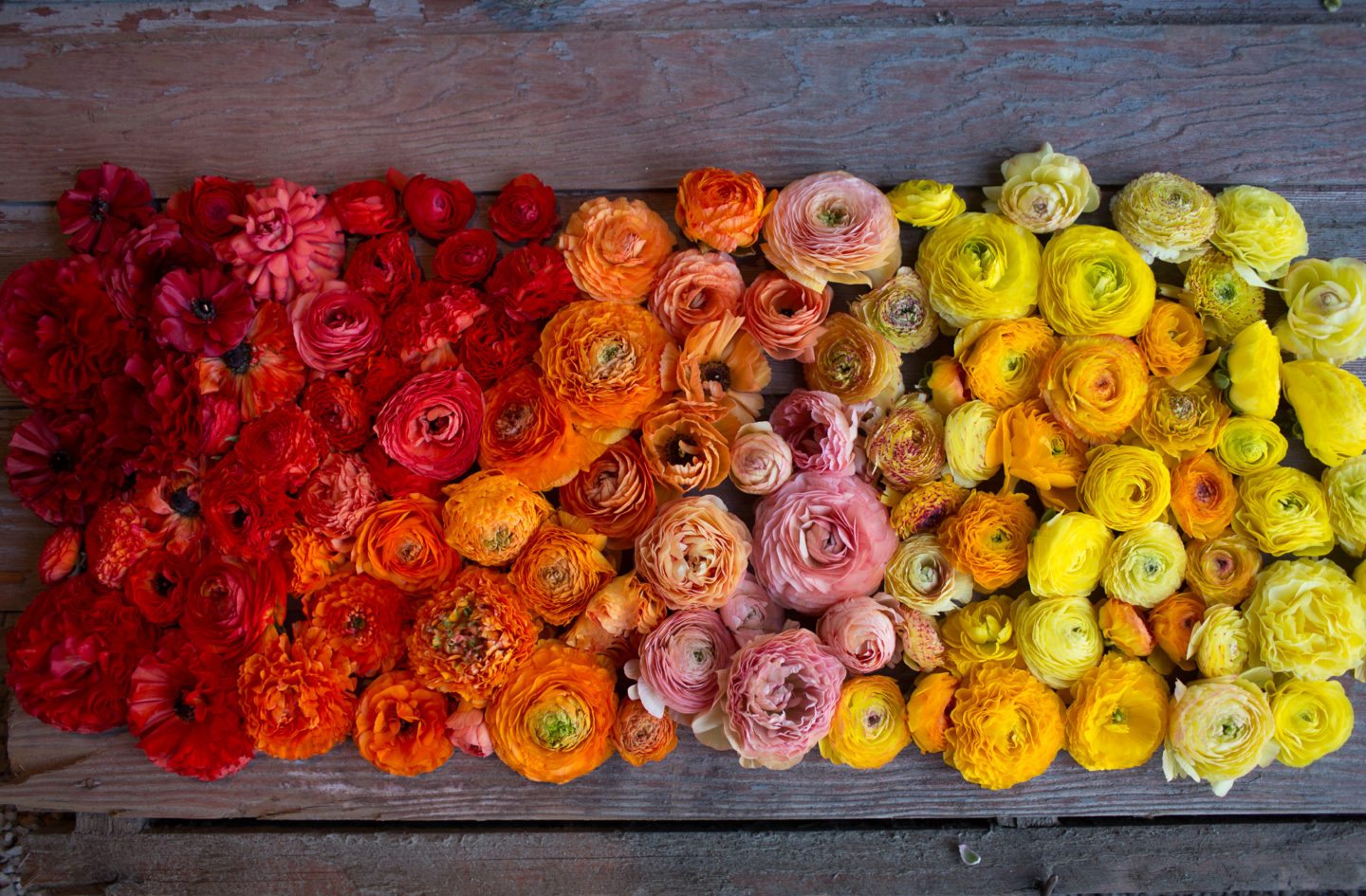 Blog Page 3 of 130 Floret Flowers