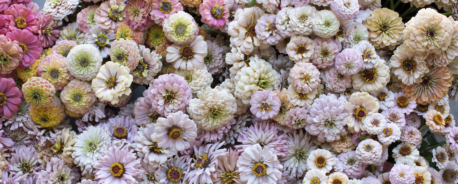 Floral Industry Salaries can hit the mid-six figures. - Pollen Talent