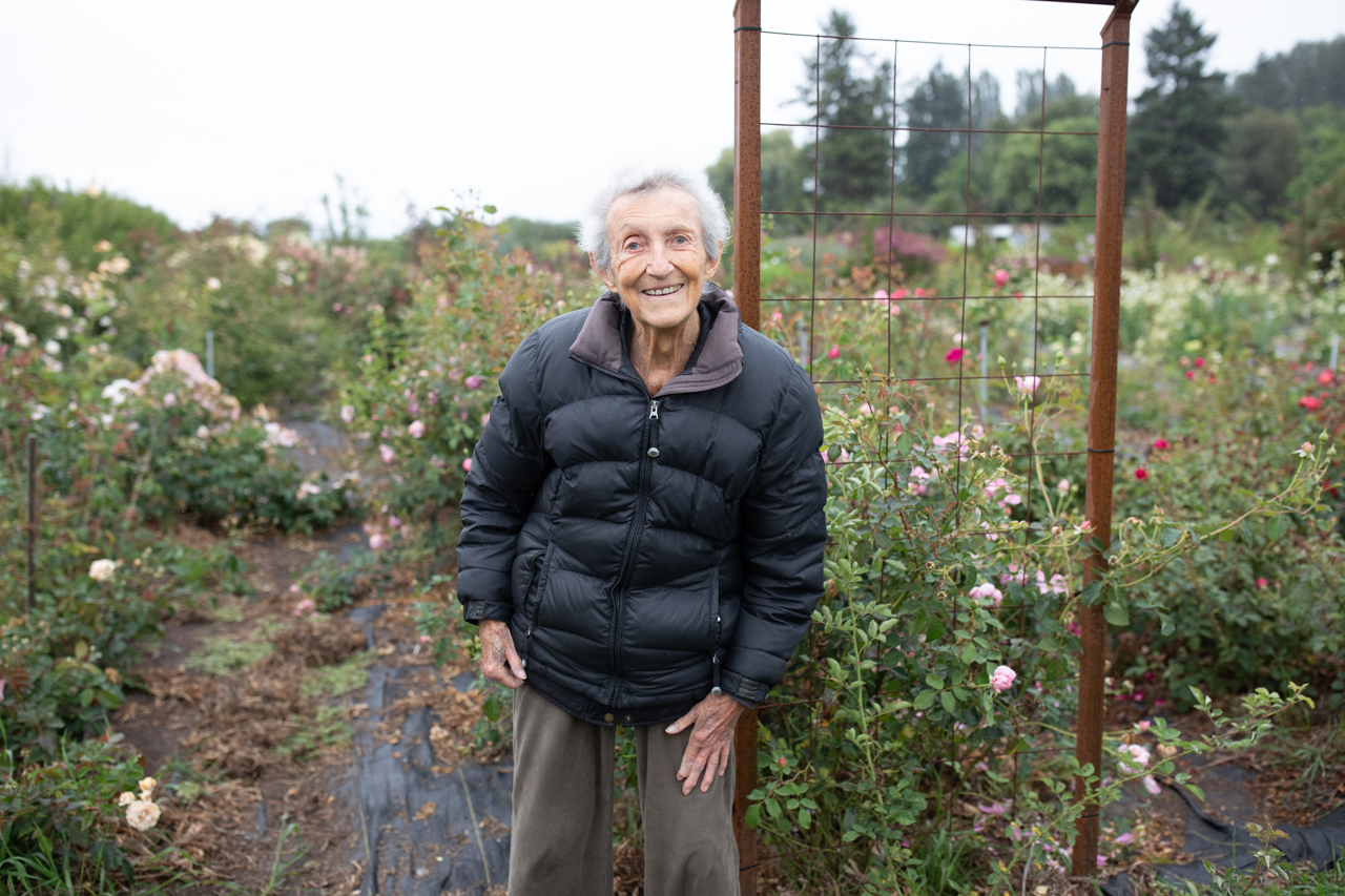 A Rose Story Part 4: An Interview with Anne Belovich - Floret Flowers