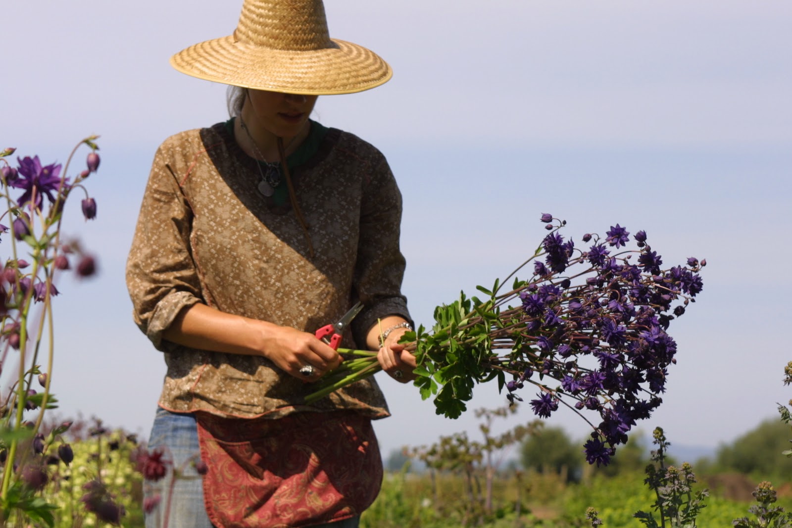 Erin Benzakein harvesting columbine