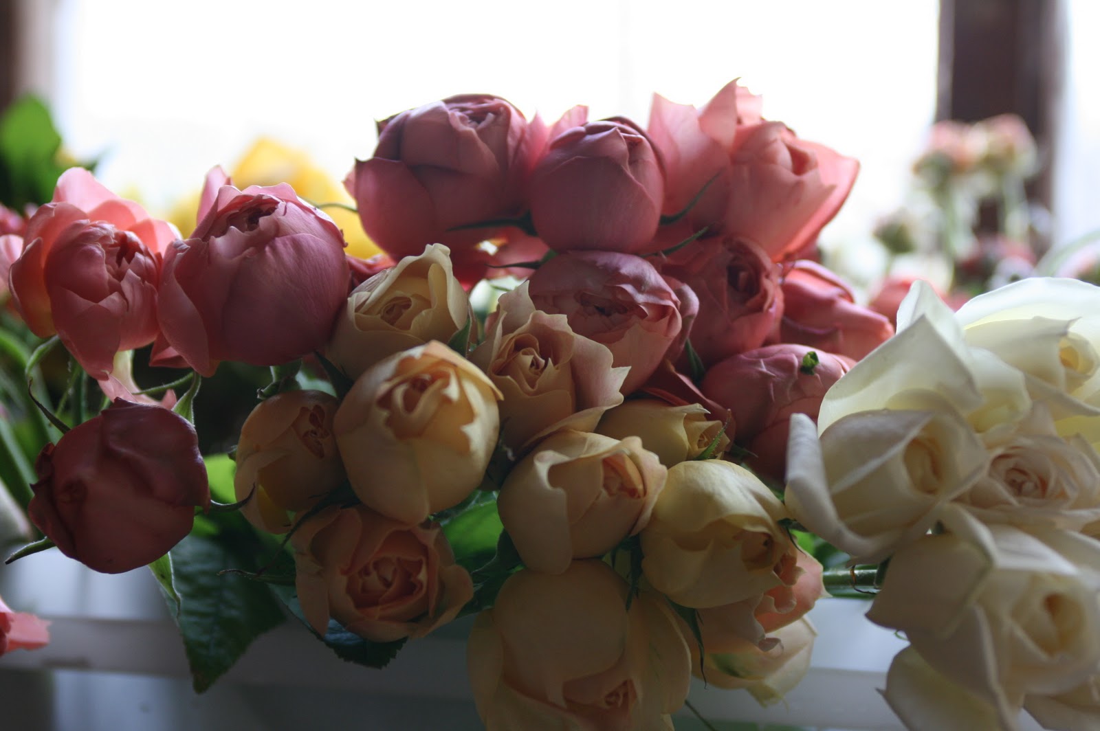 A bucket of roses