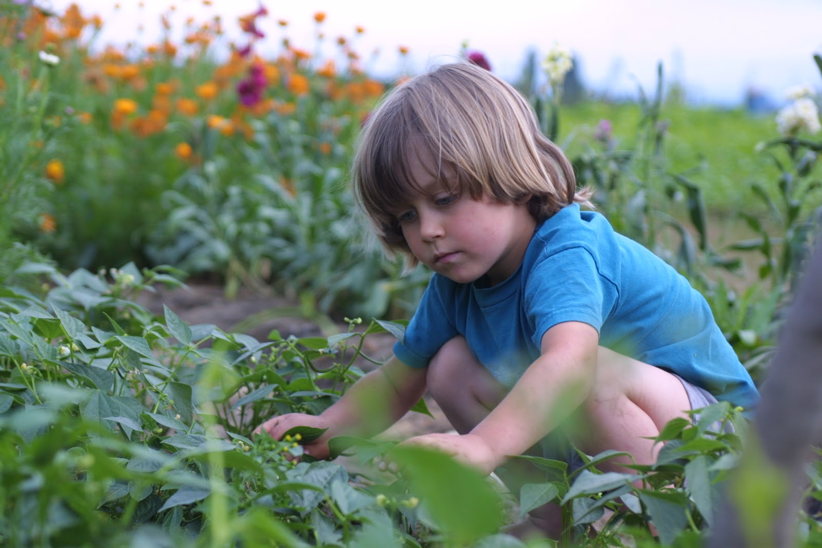 Jasper Benzakein in the field