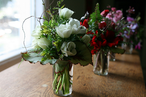 Bouquets of flowers in vases