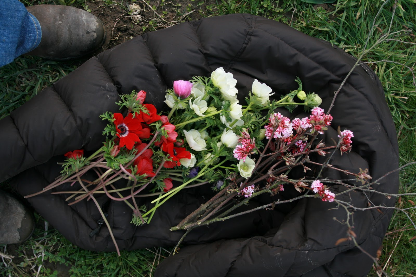Flowers laid out on a coat