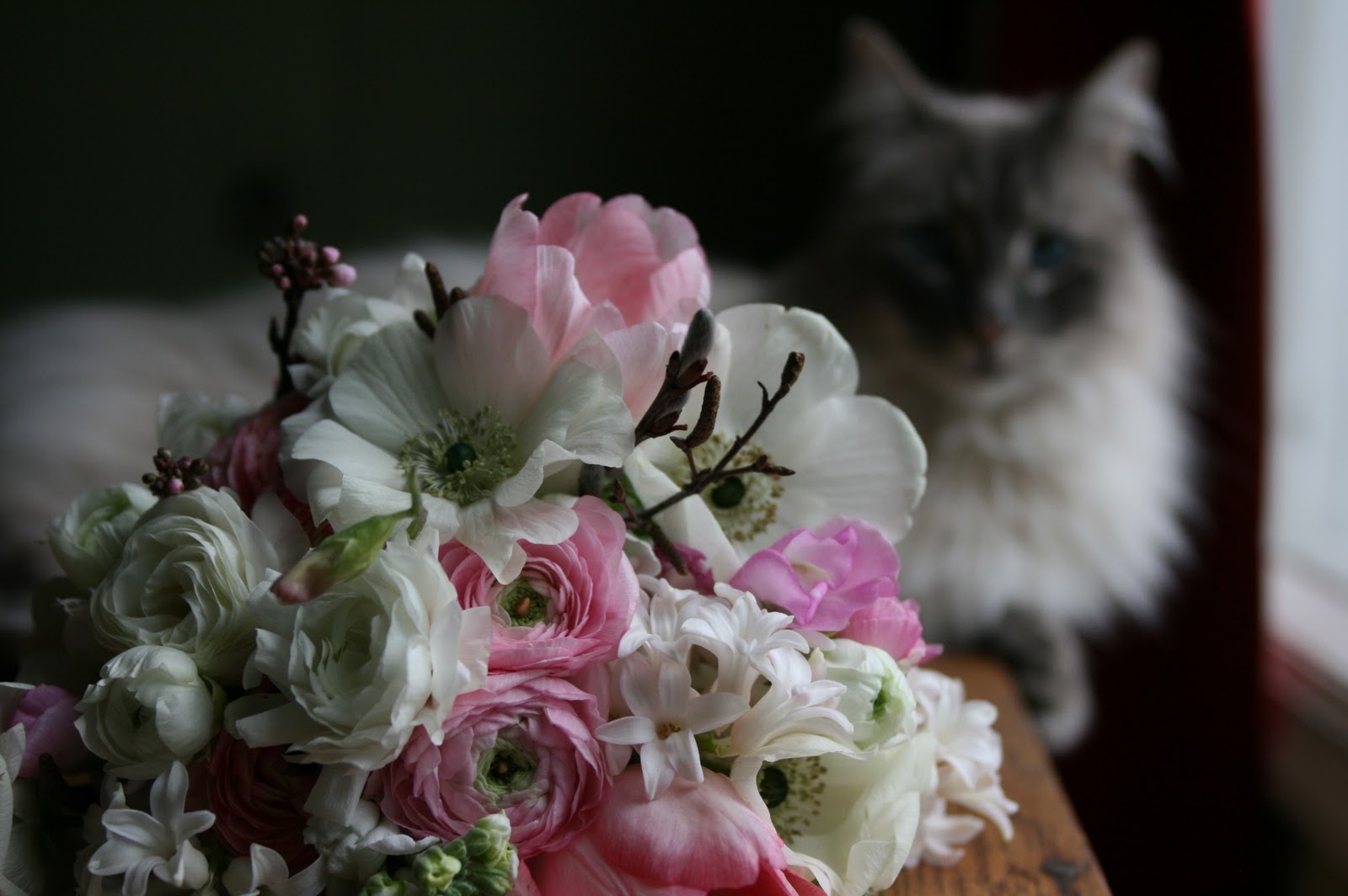A cat sitting with a bouquet of flowers