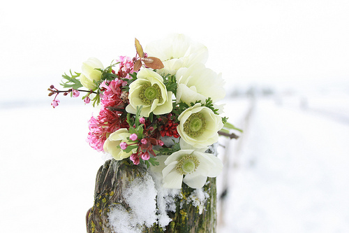A bouquet of flowers in a frosted field