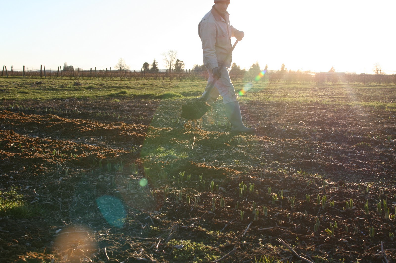 Chris Benzakein mulching the field