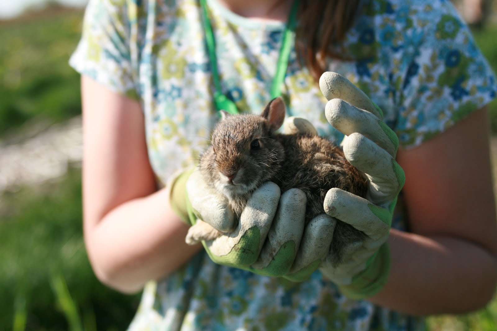 A child holding a baby bunny