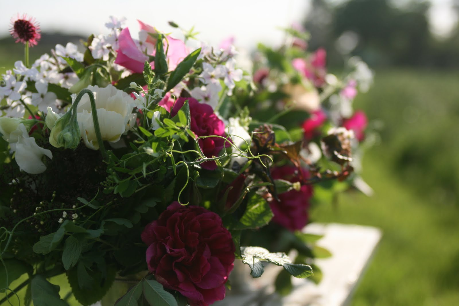 Bouquets of flowers