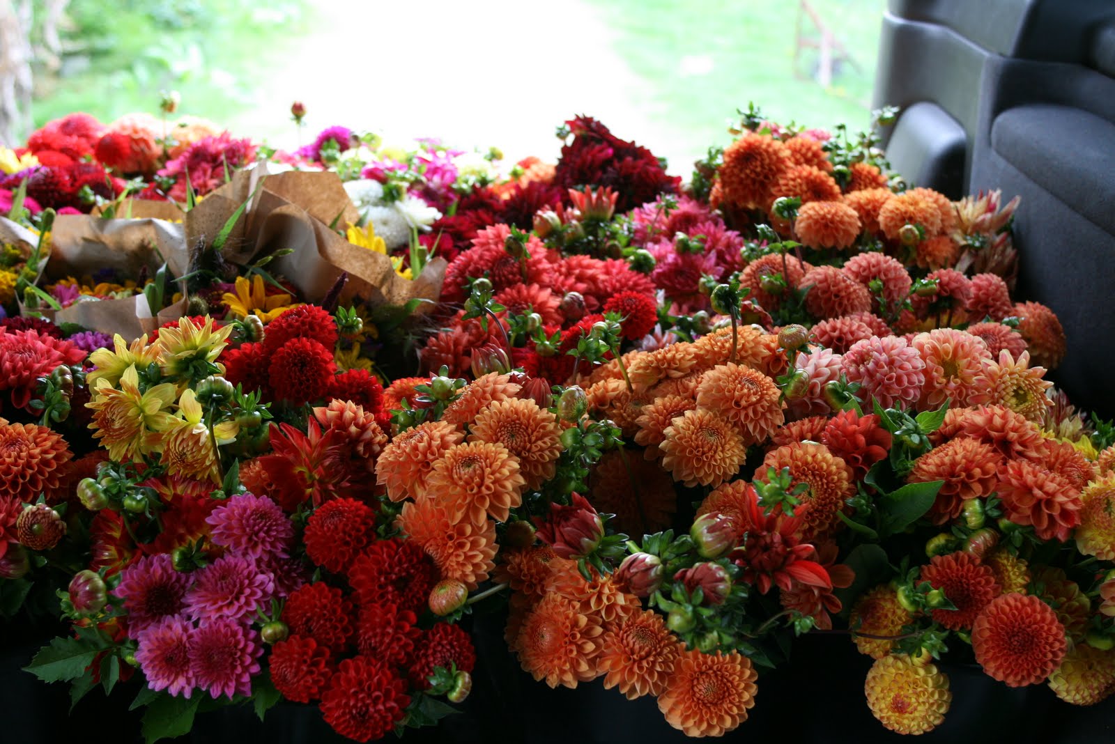 Buckets of Dahlias loaded into a van