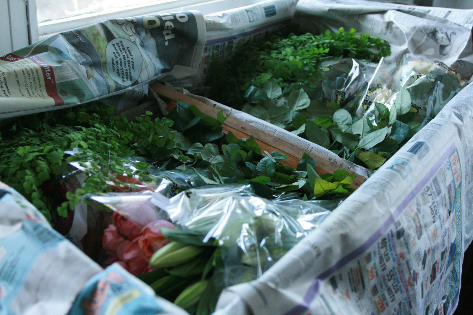 A shipment from Peter Kort roses