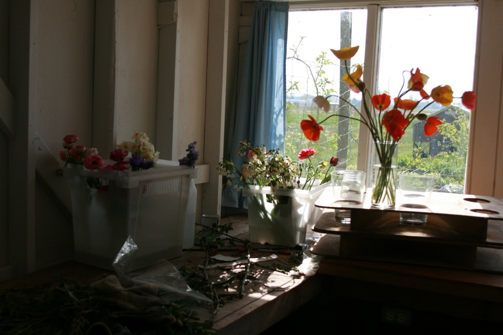Flowers in the Floret studio