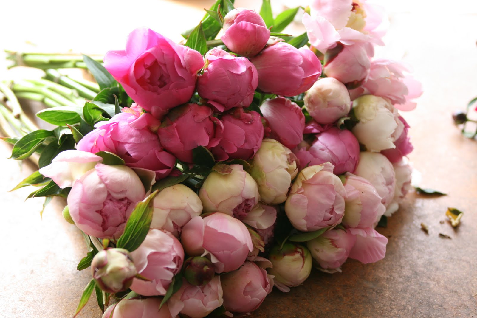 Bunches of peony flowers