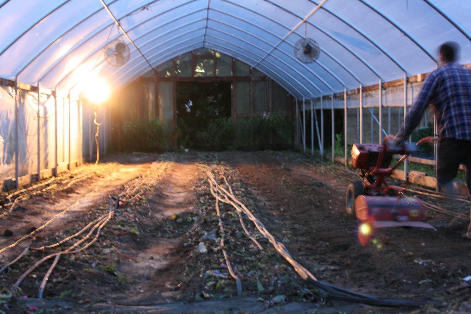 Chris Benzakein tilling the greenhouse