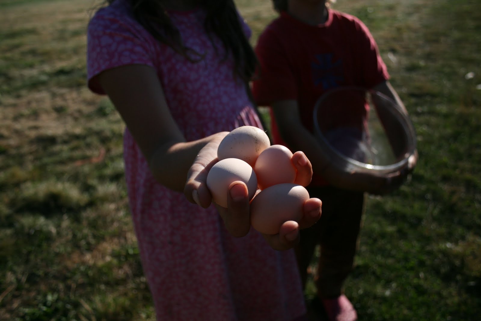 A child holding eggs