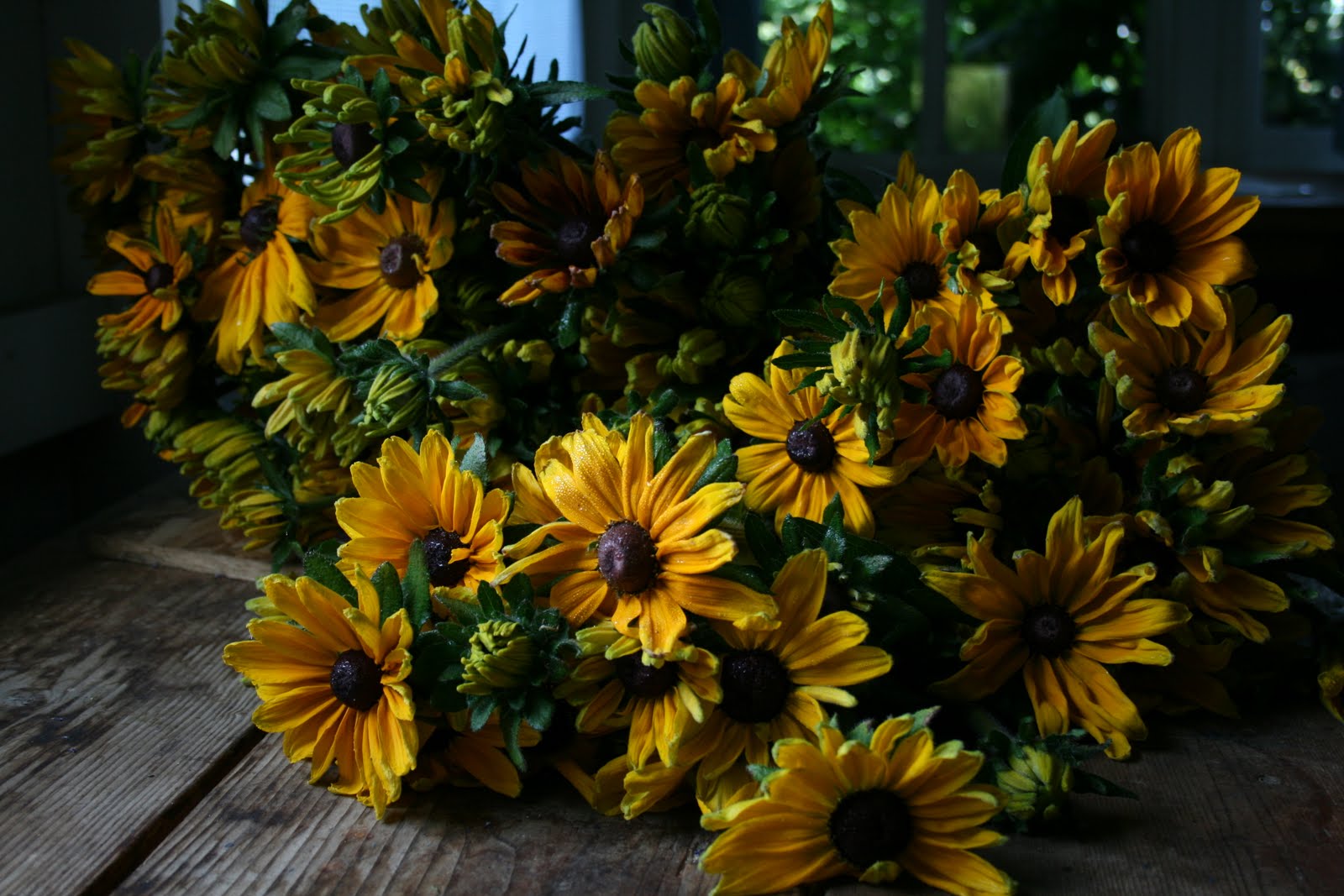 This Moment (day 5) : abundance - Floret Flowers