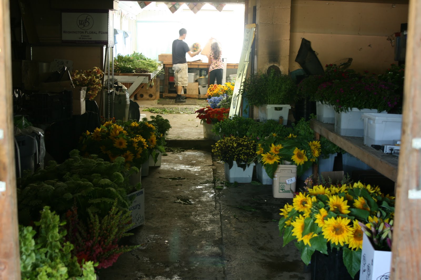 Chris and Elora Benzakein making market bouquets