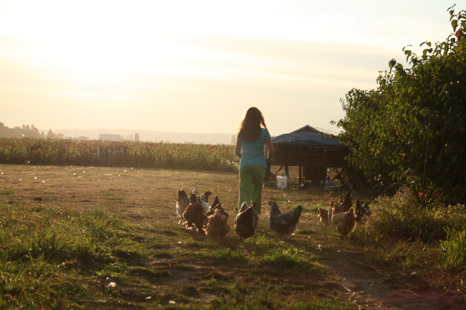 Elora Benzakein with chickens