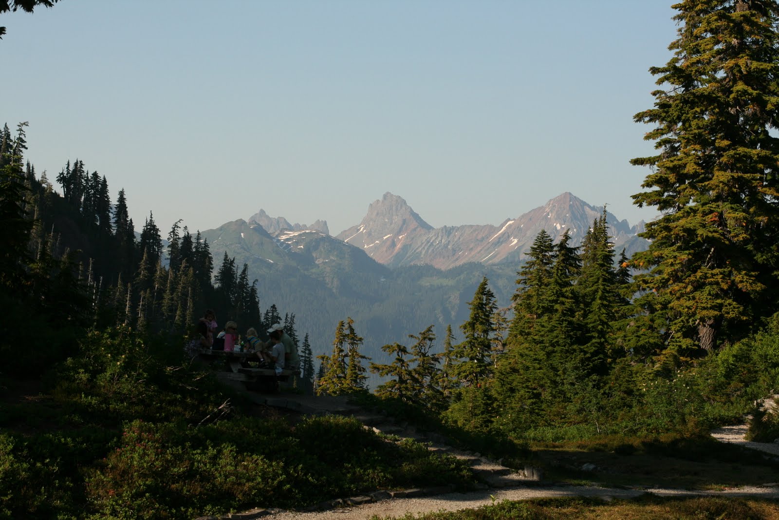 A forest with mountains in the distance
