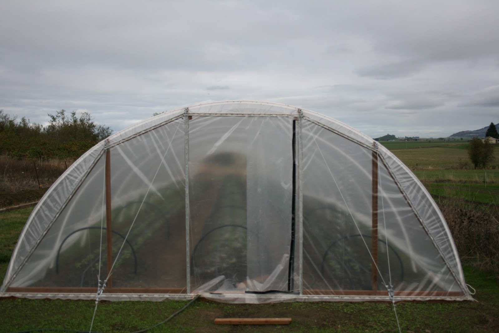 A greenhouse at Bare Mountain Flowers