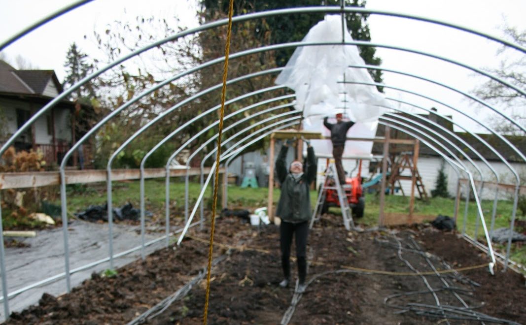 Pulling plastic over a newly built greenhouse