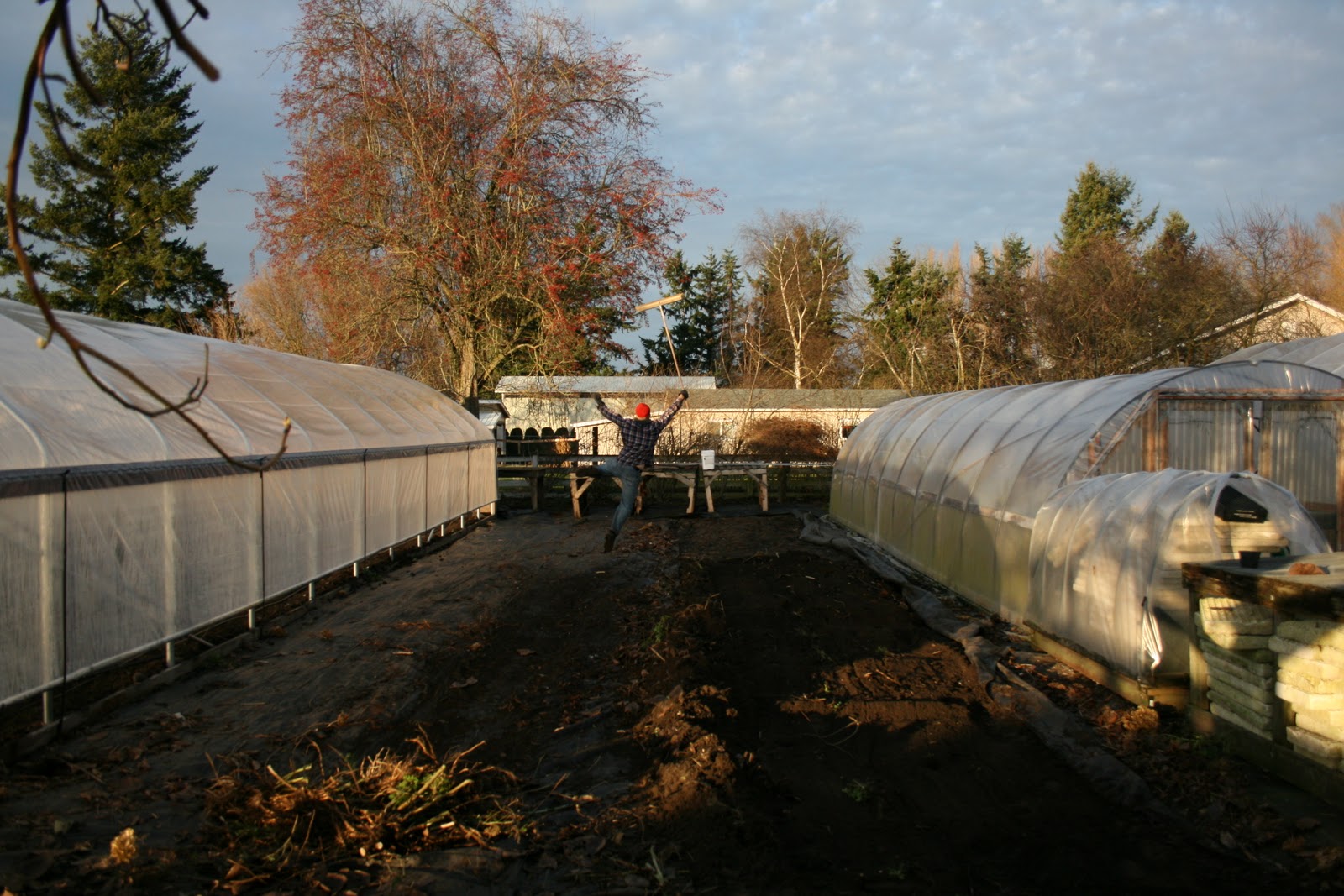 Chris Benzakein dancing next to greenhouses