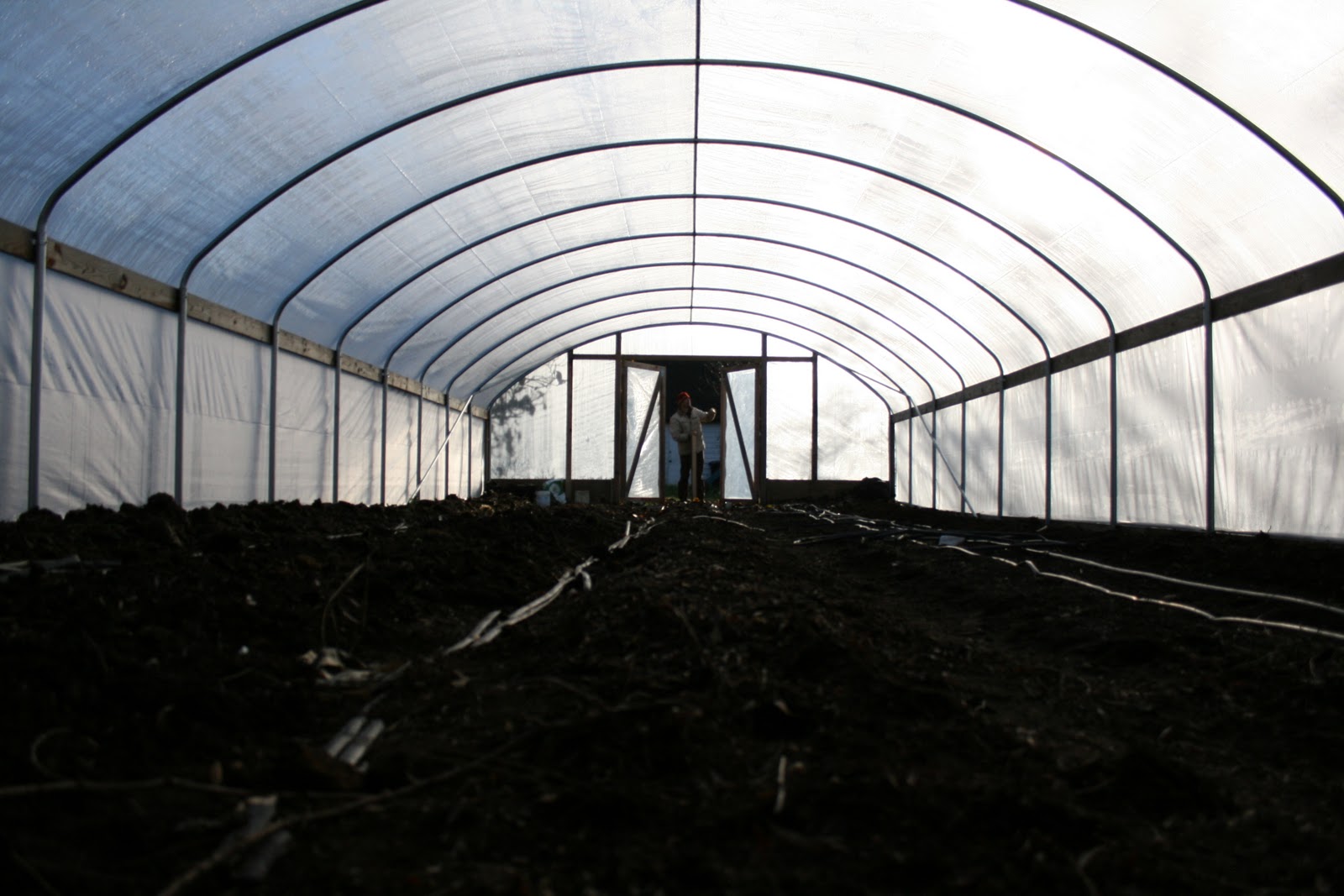 greenhouse interior