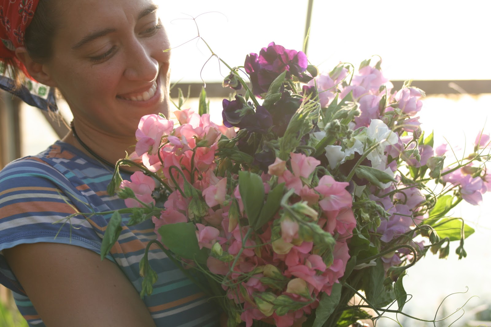 Erin Benzakein with an armload of sweet peas