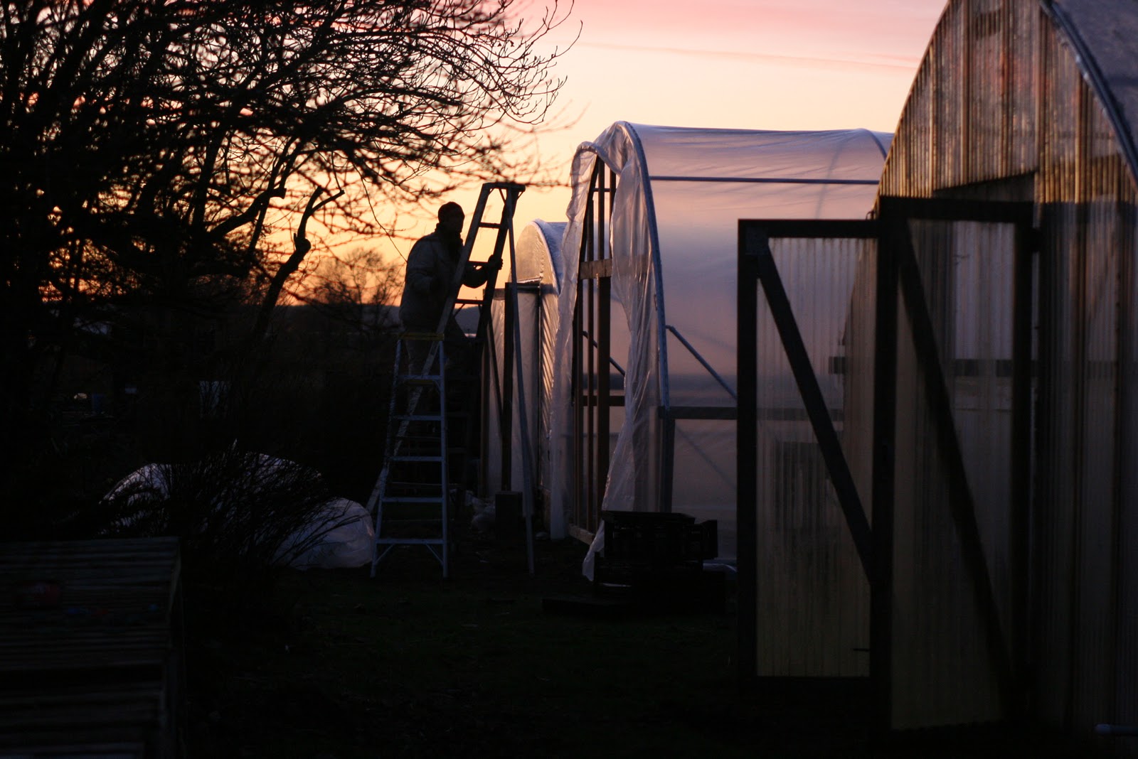 Chris Benzakein building greenhouses at sunset