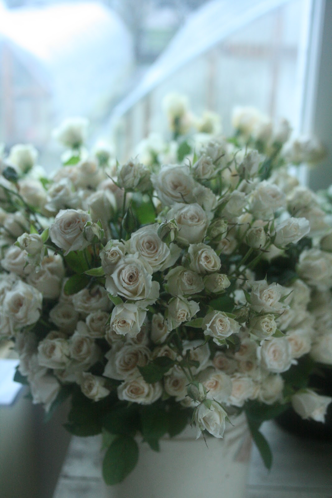 A bucket of white roses