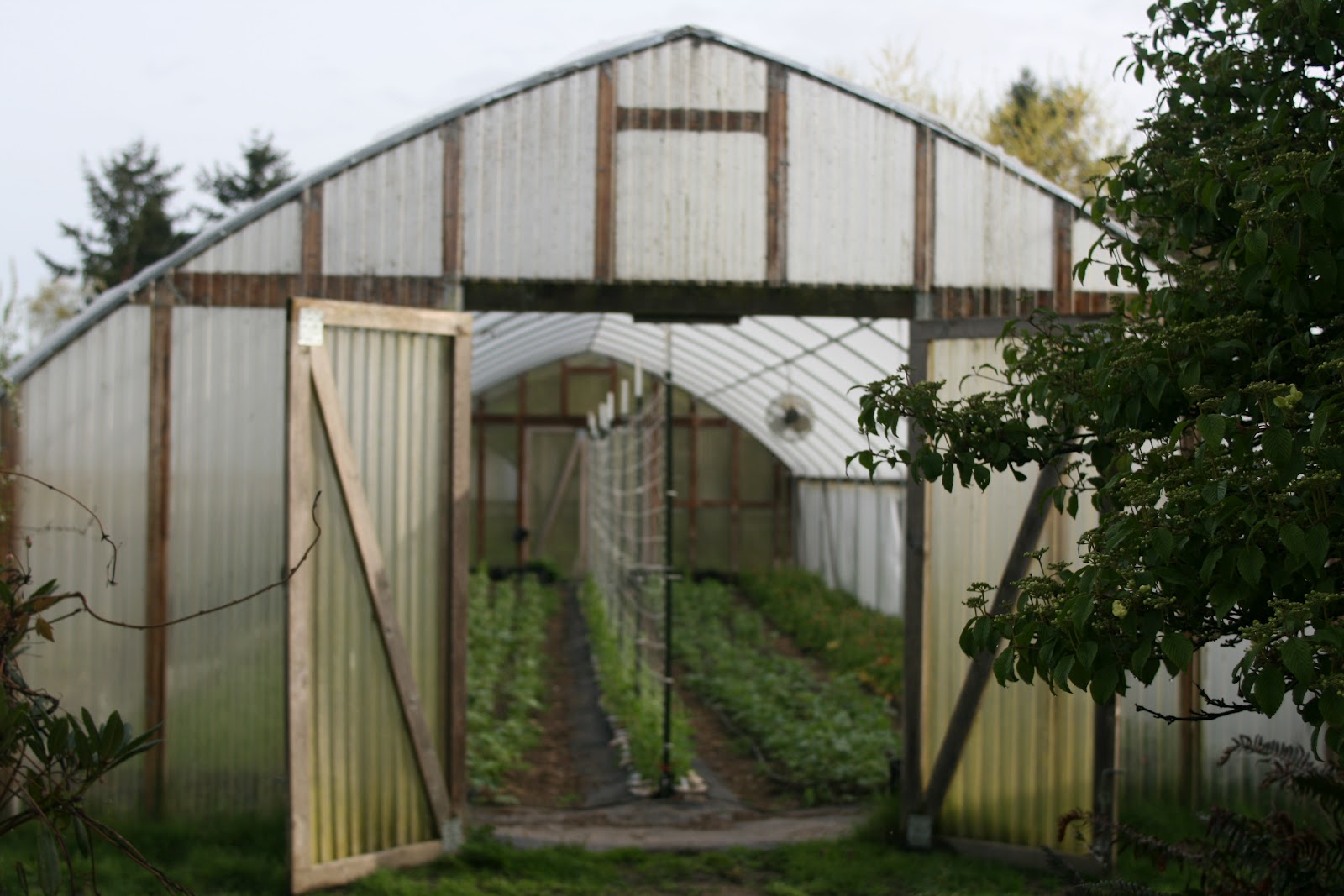 A greenhouse