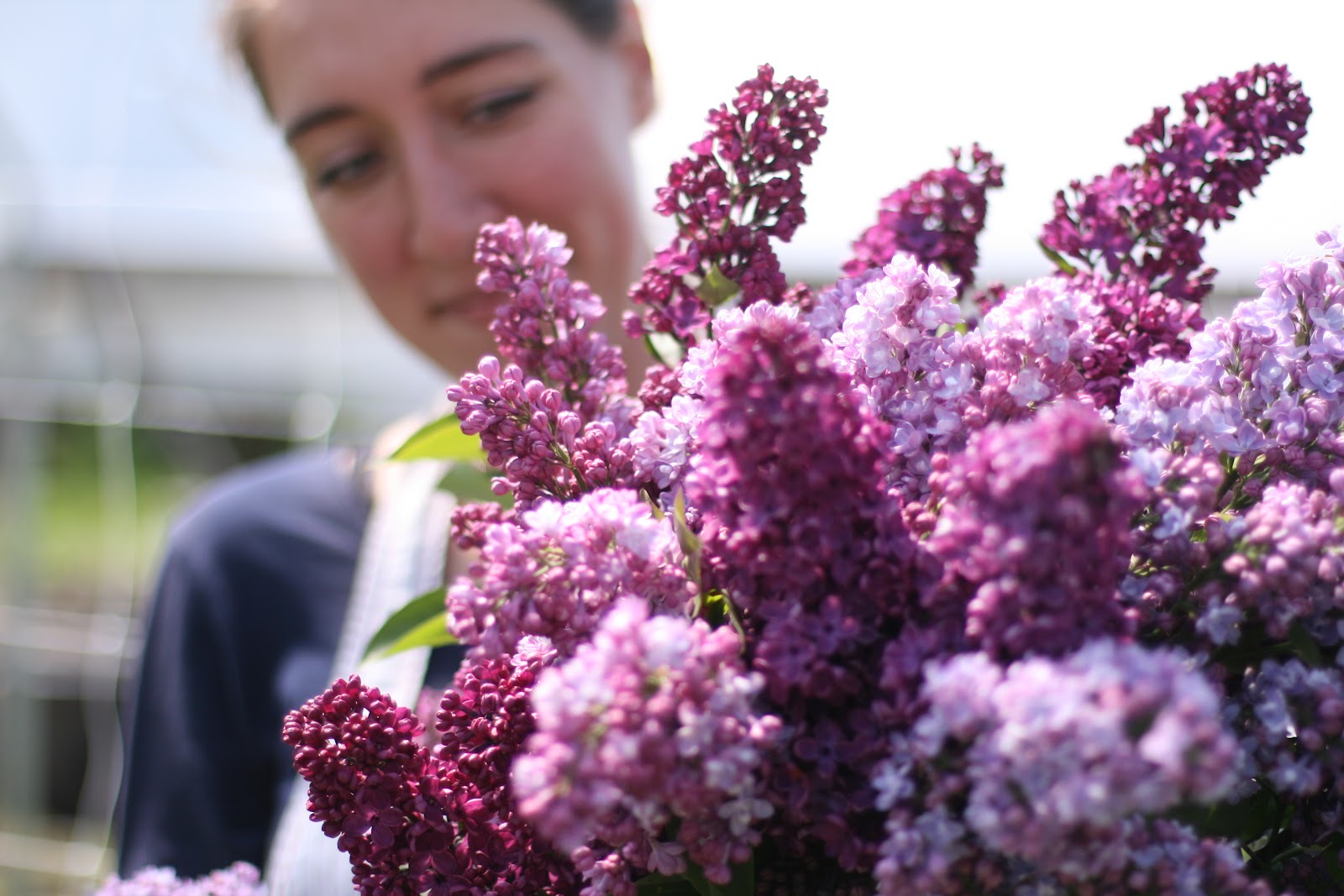 Erin Benzakein with lilac blooms