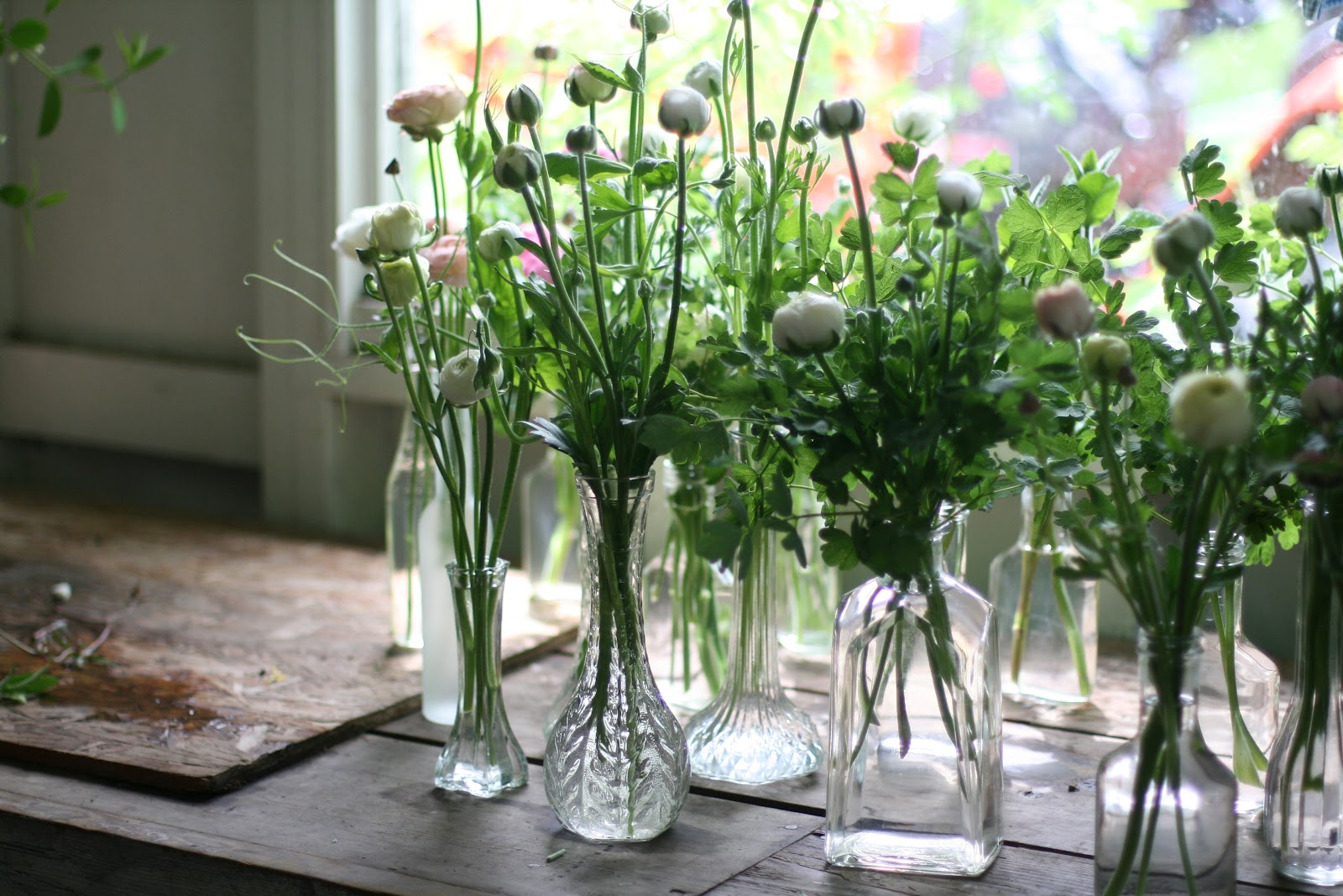Vases of ranunculus