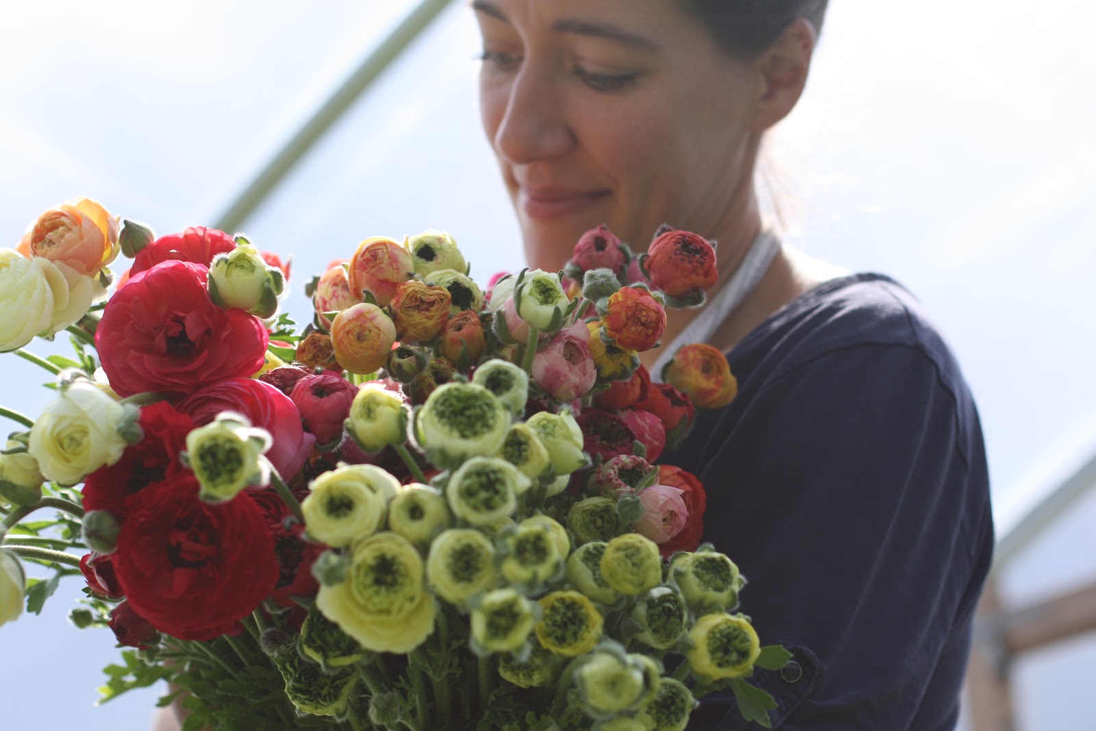 Erin Benzakein with an armload of ranunculus