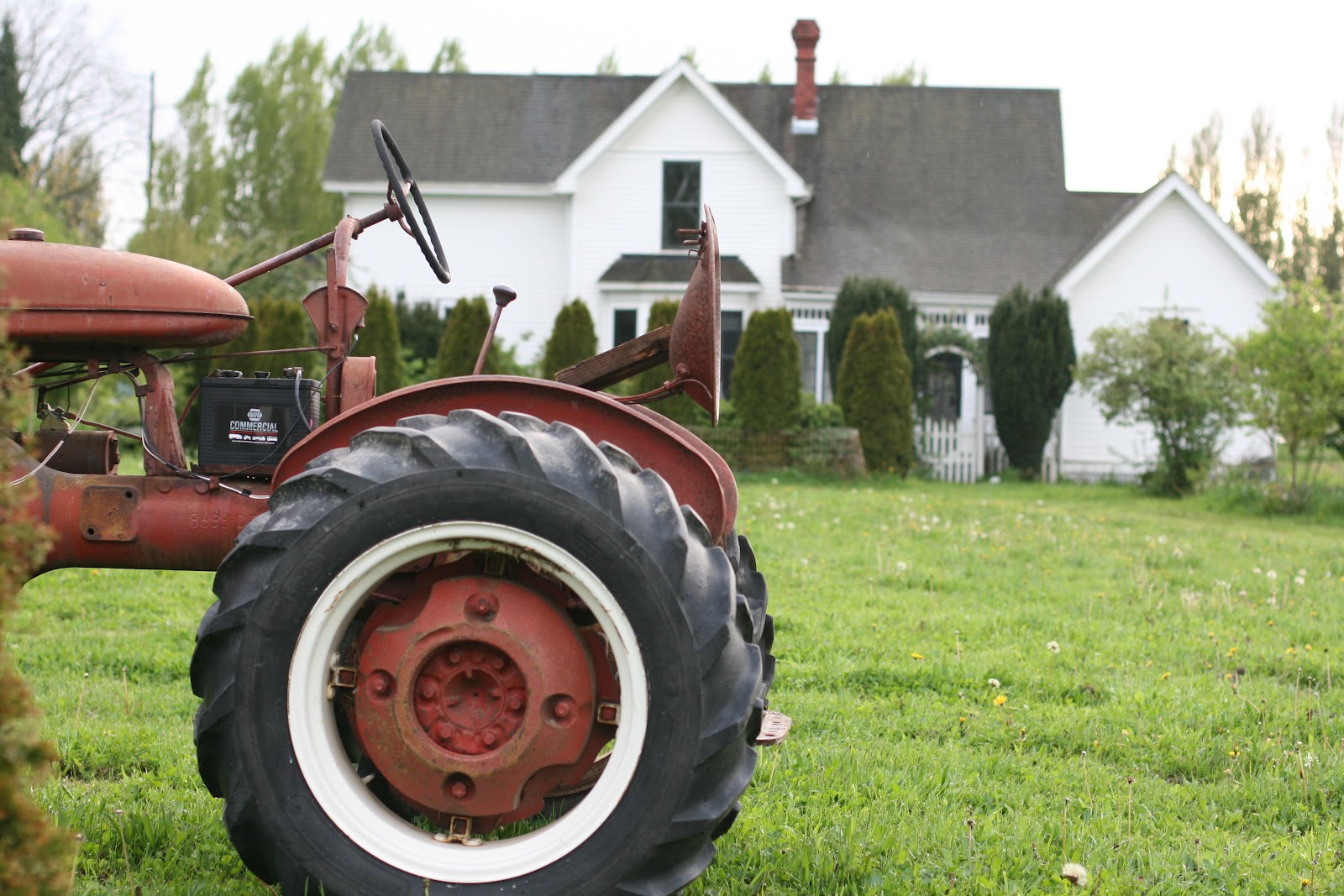 An antique tractor