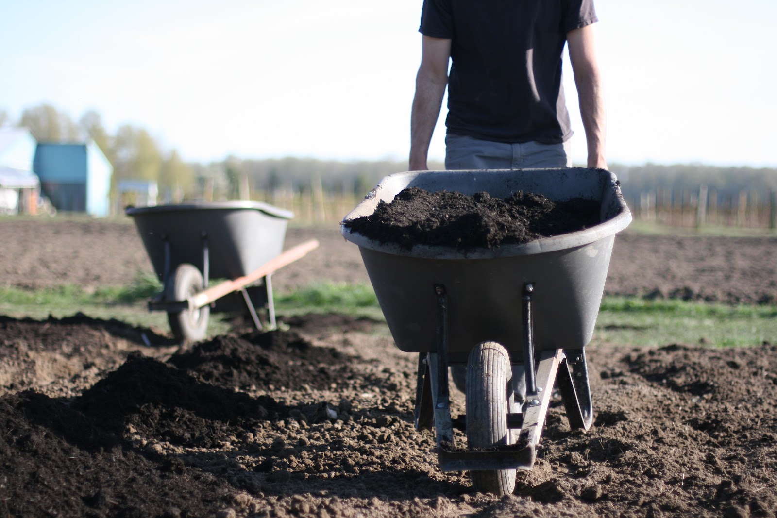 Chris Benzakein moving a wheelbarrow of manure