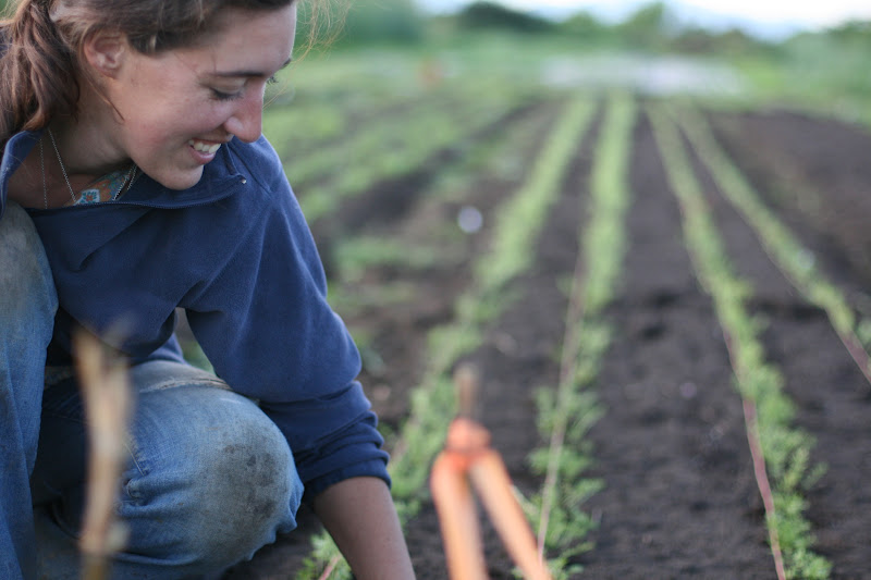 Erin Benzakein planting seedlings in the field