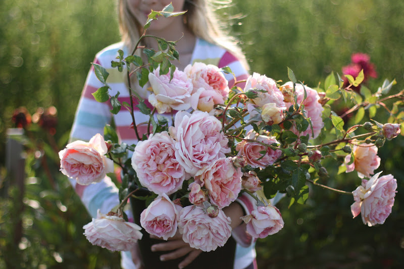 a little reminder Floret Flowers