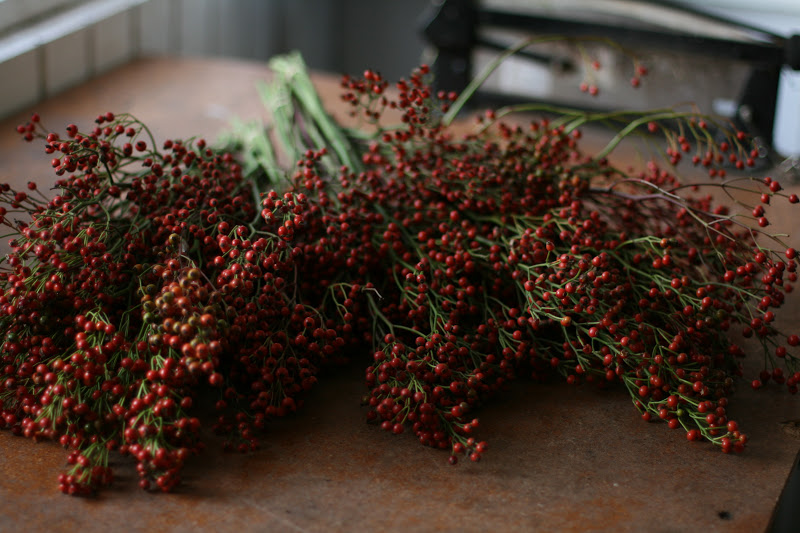 Plant stems with red berries