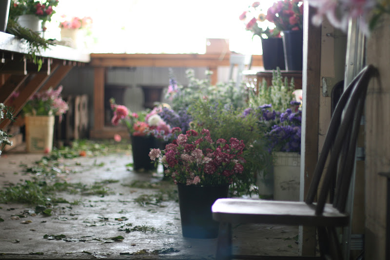 Buckets of flowers in the Floret studio