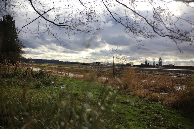 Waterlogged fields