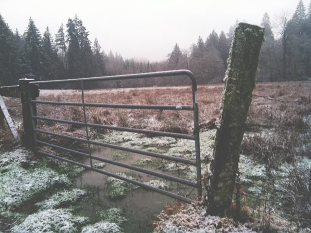 A muddy pasture gate