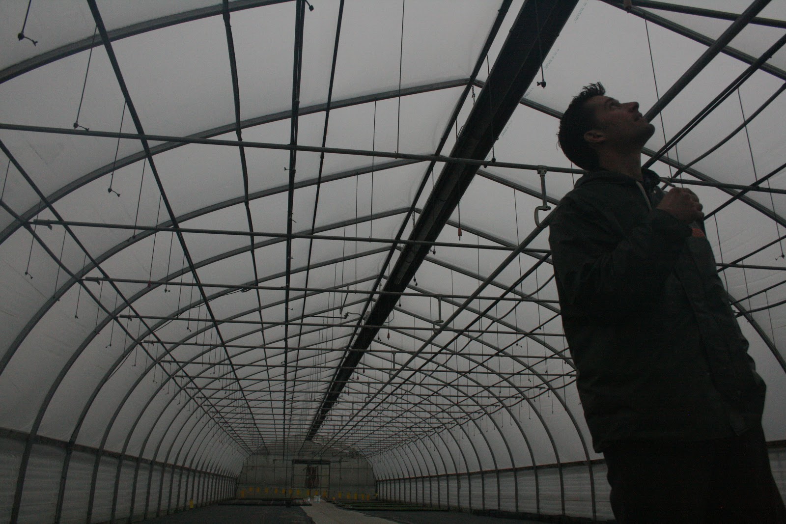 Chris Benzakein in a greenhouse