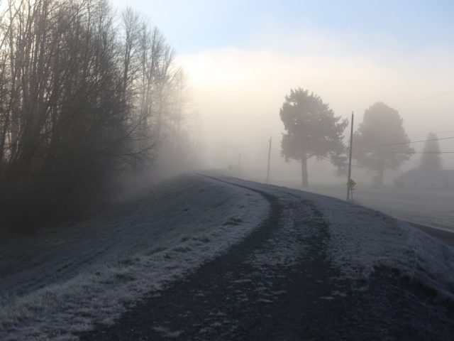 A foggy and frost covered path