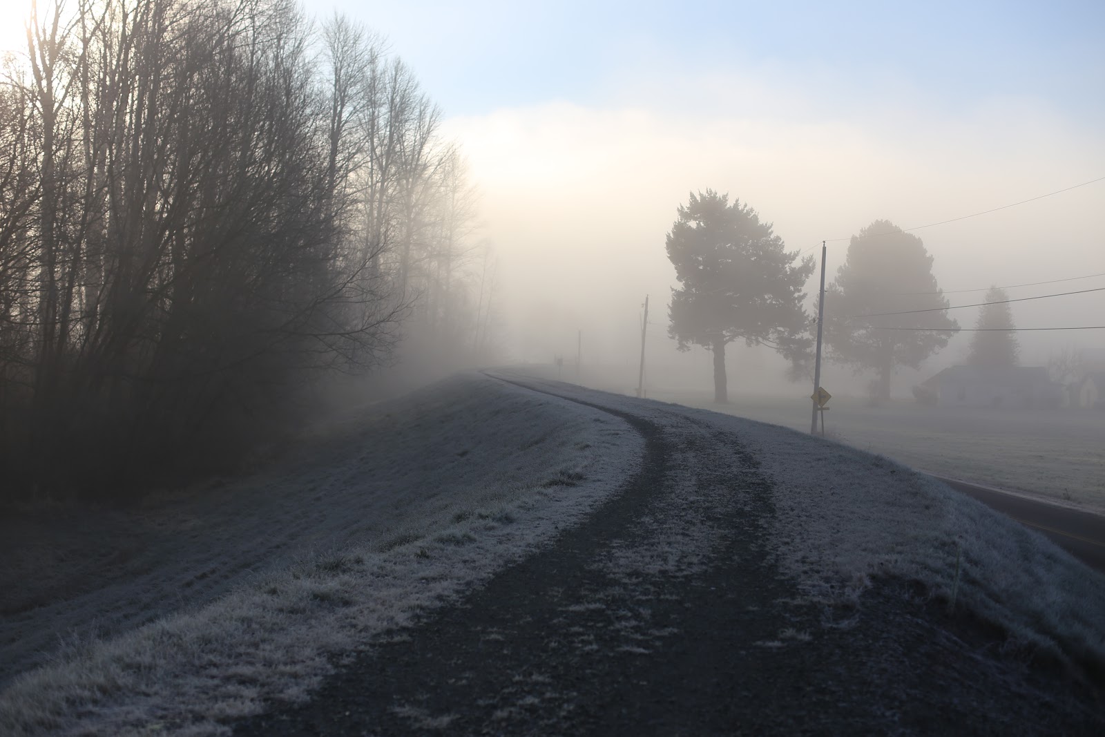 A foggy and frost covered path